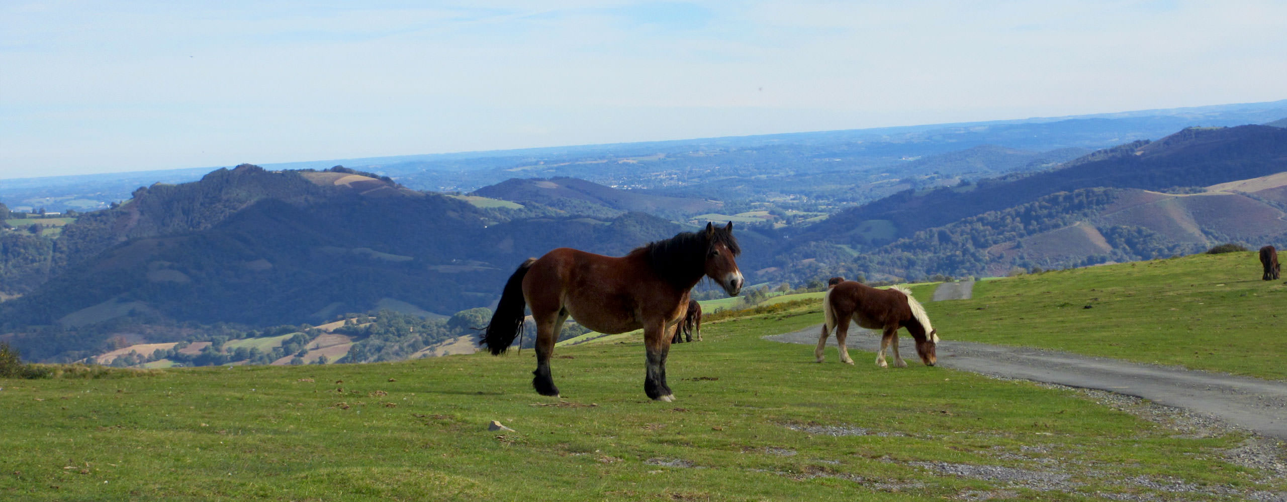 טיול משפחות לפירנאים - 7 ימים - טבע פראי בצפון ספרד